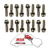 Kit 16 bulloni testa tonda fissaggio cerchio in lega Fiat 500