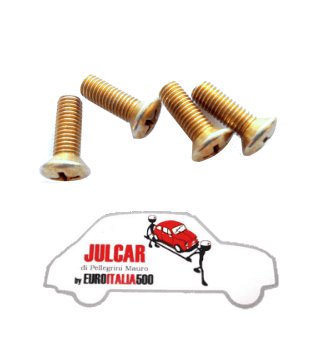 Kit 4 viti fissaggio maniglie interne tiraporta Fiat 500