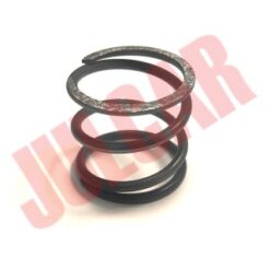 Molla pompa olio Fiat 500