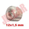 Tappo filettato 12x1.5 per foro basamento motore Fiat 500