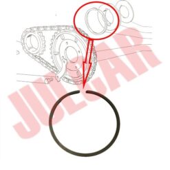 Segmento comando distribuzione Fiat 500