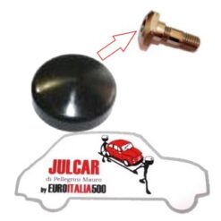 Tappo copri dado capote Fiat 500