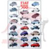 Poster illustrativo 89x61cm Fiat 500