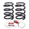 Coppia molle sospensione posteriore nere altezza 19 cm Fiat 500